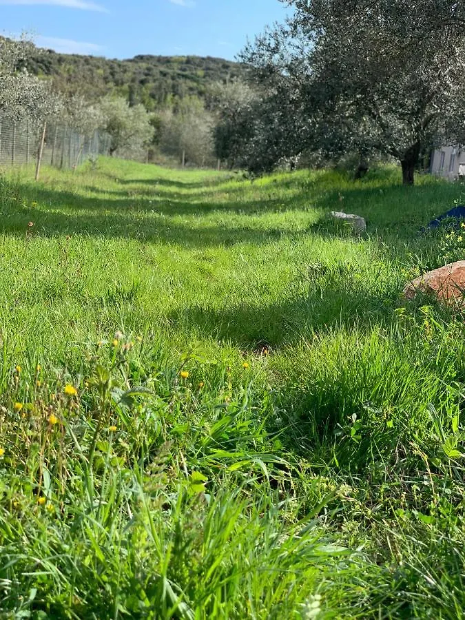 Отель Il Giardino Degli Ulivi Ровинь 2*,  Хорватия